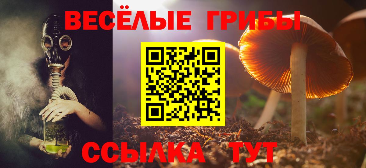 Галлюциногенные грибы Psilocybe  Псилоцибиновые грибы прущие грибы  Советская Гавань  Вход с VPN 